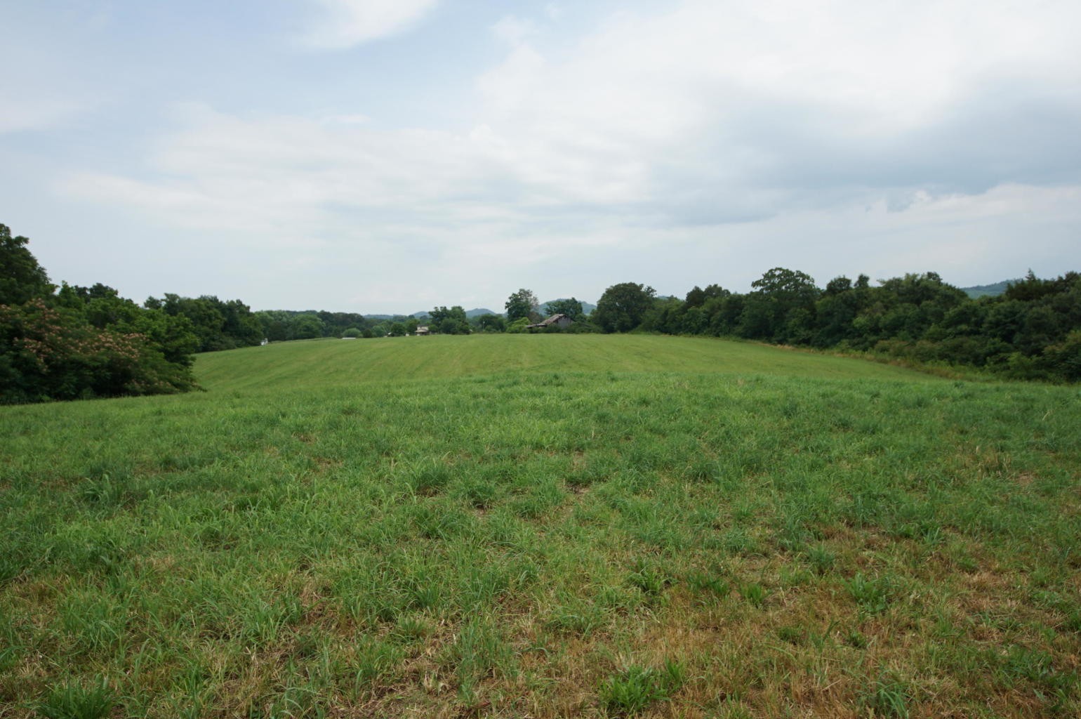 0 Noel Road Sweetwater, TN 37874 - Photo 15 of 23 Gallery Image 15