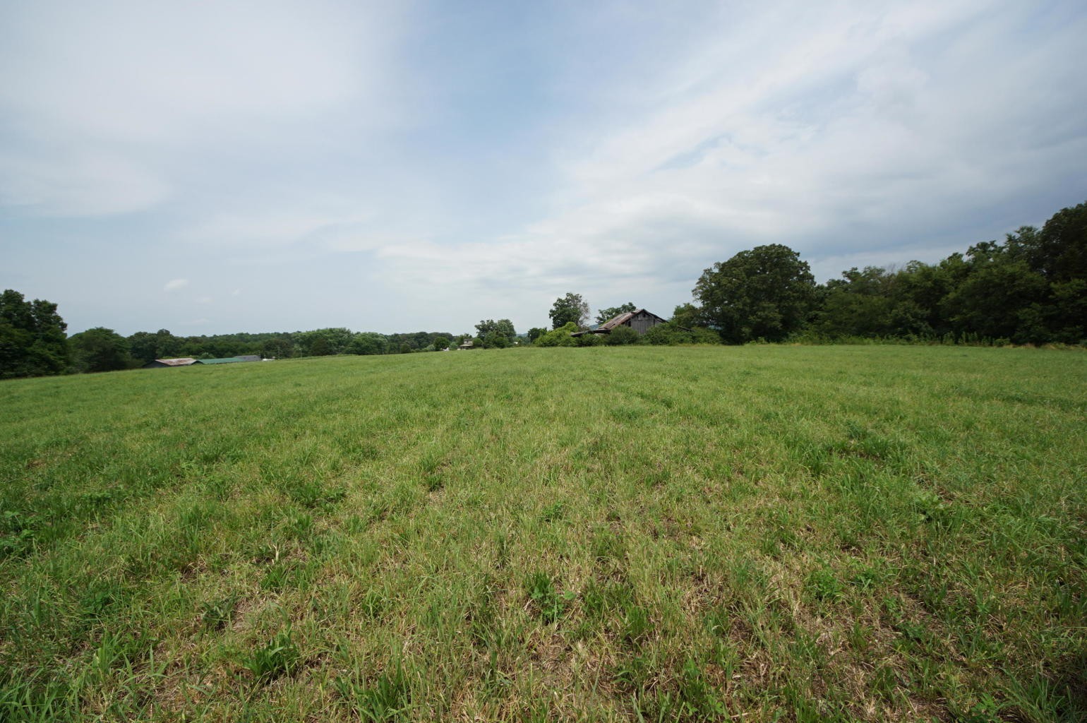 0 Noel Road Sweetwater, TN 37874 - Photo 8 of 23 Gallery Image 8