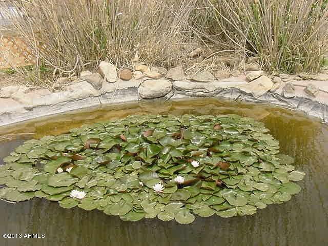 18285 Reeves Road Peeples Valley, AZ 86332 - Photo 23 of 30 Pond 1