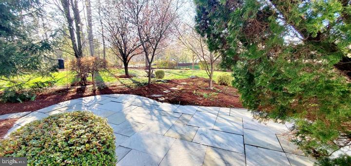20153 Valhalla Square Ashburn, VA 20147 - Photo 20 of 26 a view of a garden with large trees