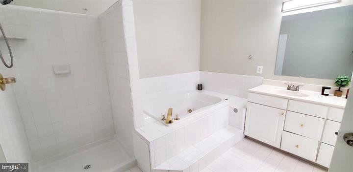 20153 Valhalla Square Ashburn, VA 20147 - Photo 6 of 26 a bathroom with a bathtub and a sink