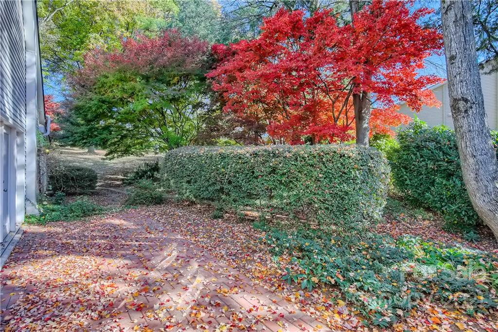 7040 Quail Hill Road Charlotte, NC 28210 - Photo 30 of 33 a backyard of a house with lots of green space