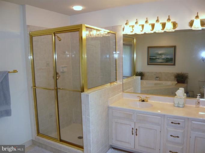 9628 Woodsboro Road Frederick, MD 21701 - Photo 22 of 30 Master Bath with separate shower
