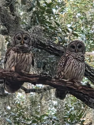 $975,000 | 4705 Kissimmee Park Road, St. Cloud, FL 34772