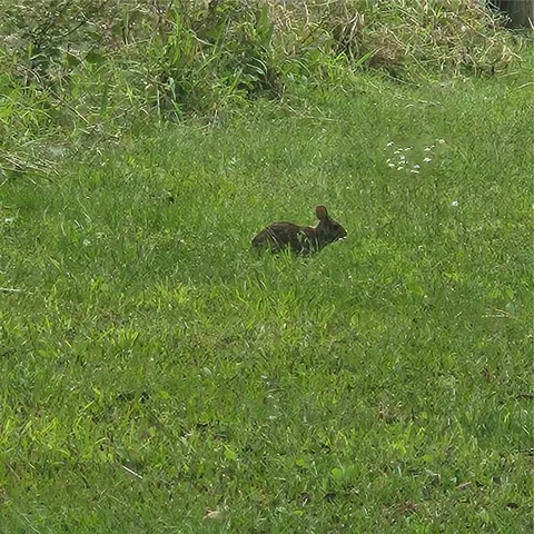 $975,000 | 4705 Kissimmee Park Road, St. Cloud, FL 34772