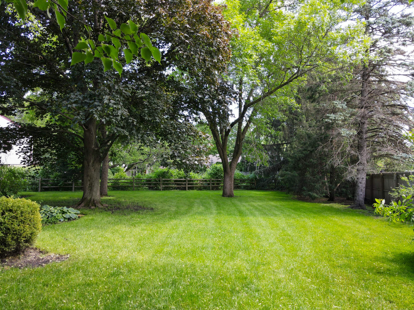 2441 Shannon Road Northbrook, IL 60062 - Photo 23 of 26 a view of a trees in a yard