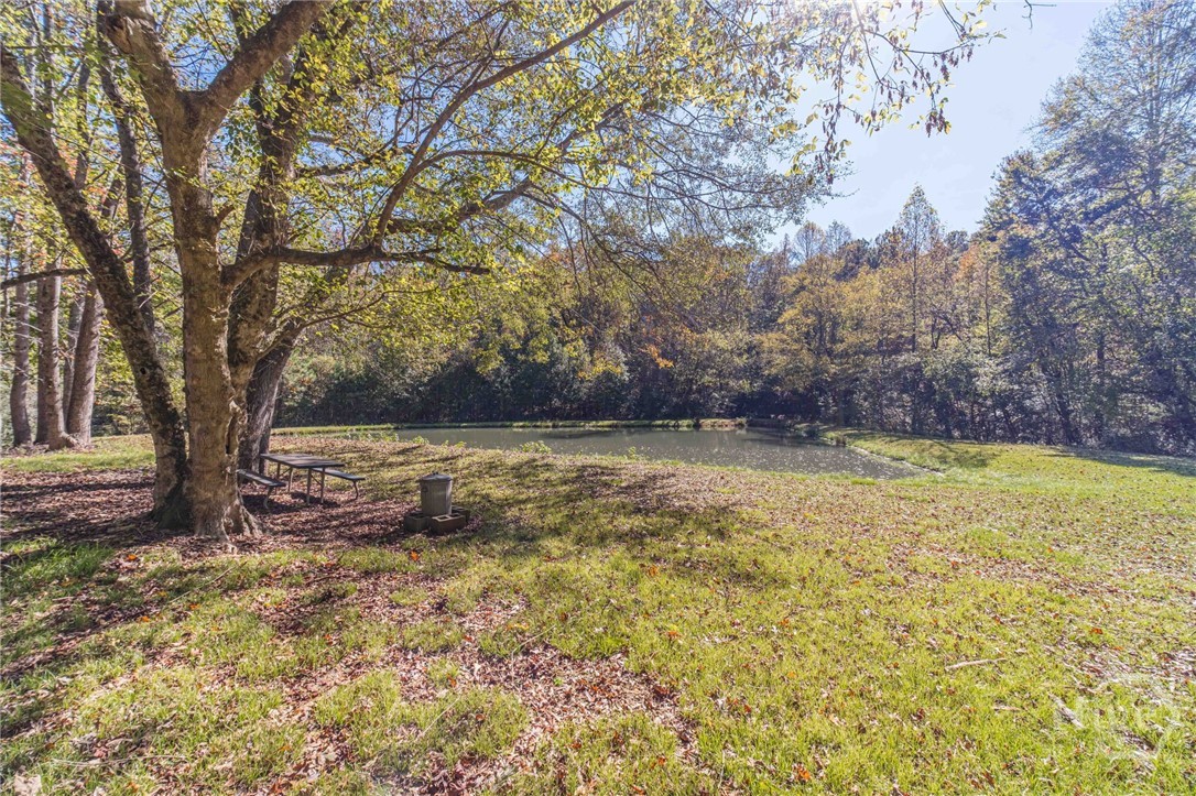 840 North Cross Lane Road Bethlehem, GA 30620 - Photo 52 of 61