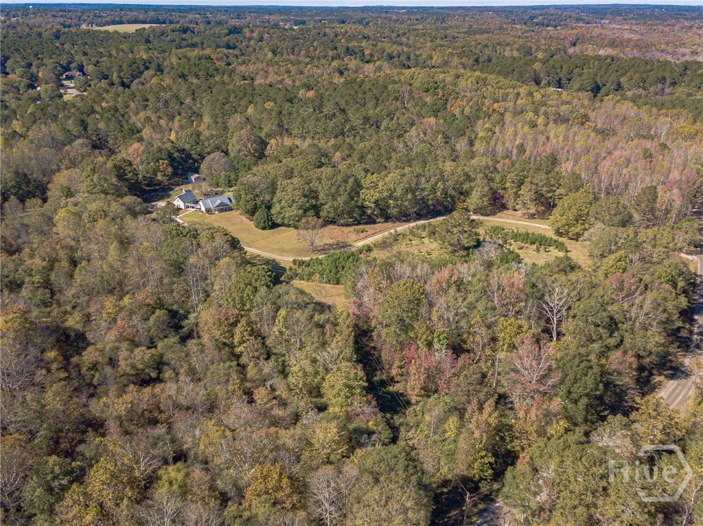 840 North Cross Lane Road Bethlehem, GA 30620 - Photo 59 of 61