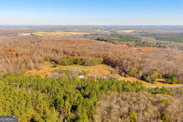 a view of a large trees in front of a house