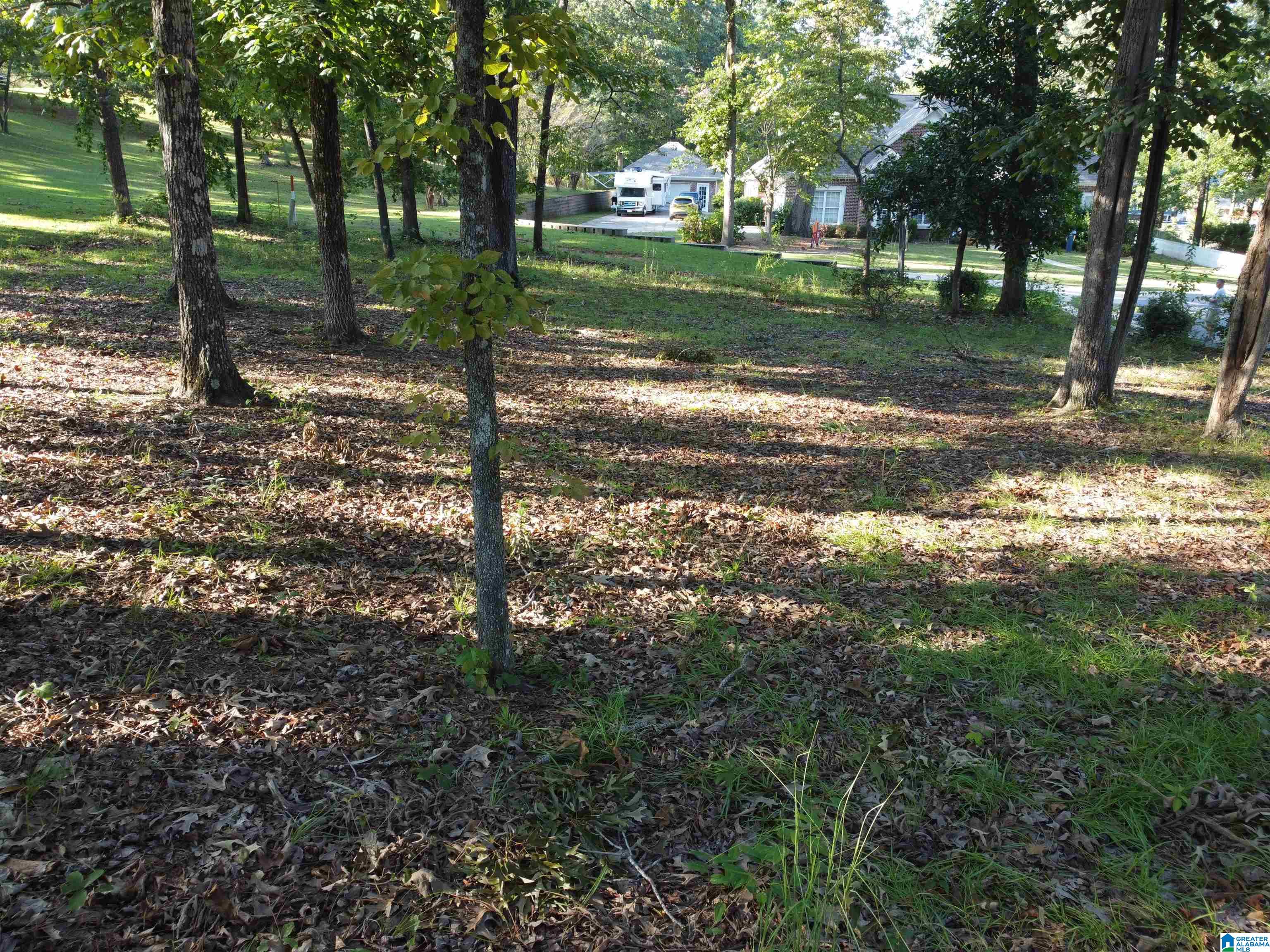 Lot 16 Riley Circle, Unit 16 Thorsby, AL 35171 - Photo 18 of 19