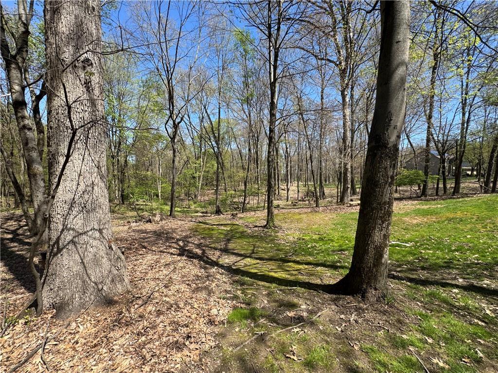 207 Oak Leaf Drive Mars, PA 16046 - Photo 38 of 40 a view of a tree in the middle of a yard