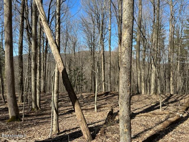 0 Maple Hill Road West Stockbridge, MA 01266 - Photo 4 of 10 a backyard of a house