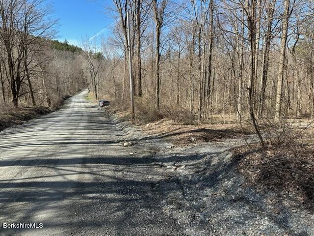 0 Maple Hill Road West Stockbridge, MA 01266 - Photo 5 of 10 a view of house with trees