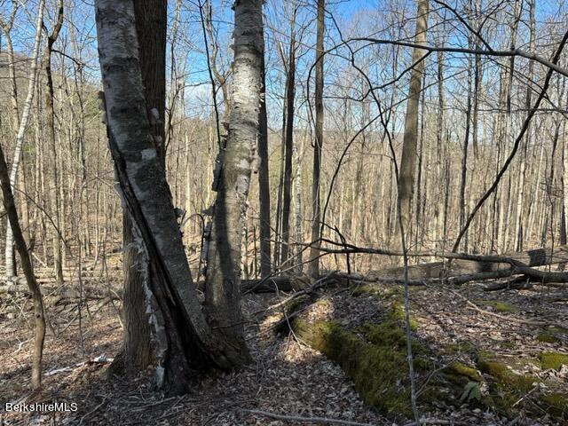 0 Maple Hill Road West Stockbridge, MA 01266 - Photo 6 of 10 a backyard of a house