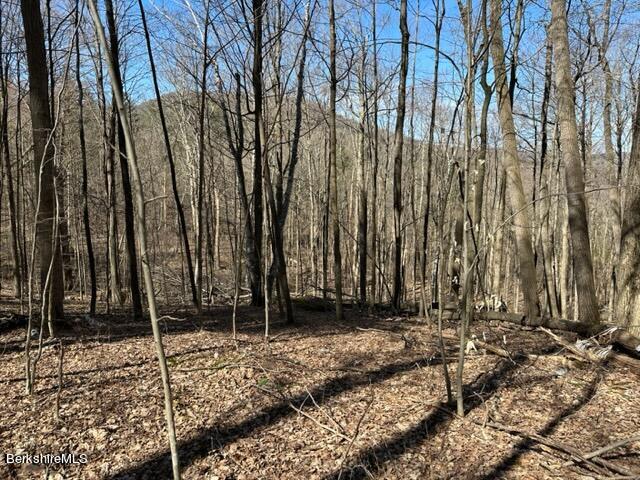 0 Maple Hill Road West Stockbridge, MA 01266 - Photo 8 of 10 a view of wooden fence