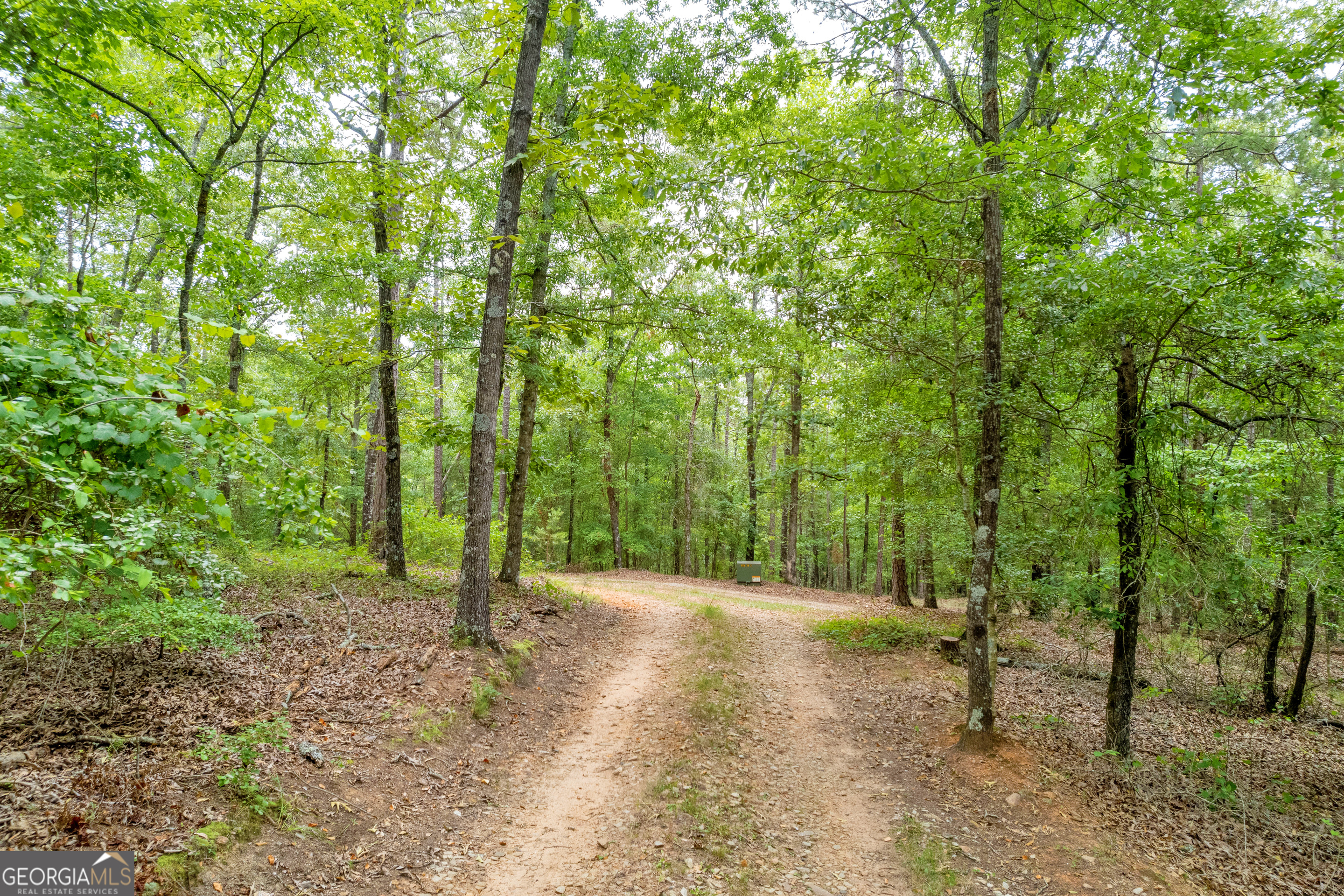 1255 Seymour Road Bowman, GA 30624 - Photo 20 of 79