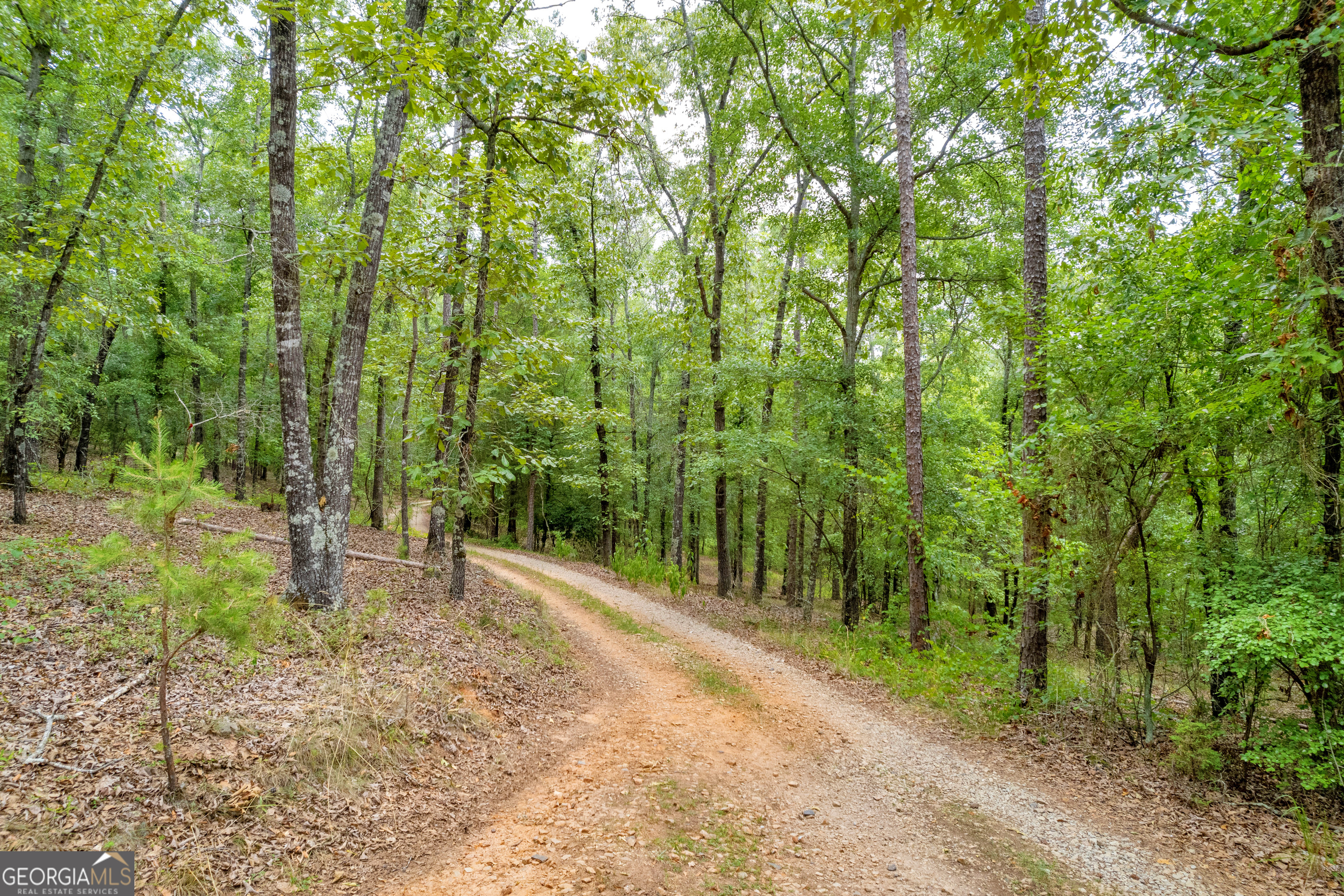 1255 Seymour Road Bowman, GA 30624 - Photo 21 of 79