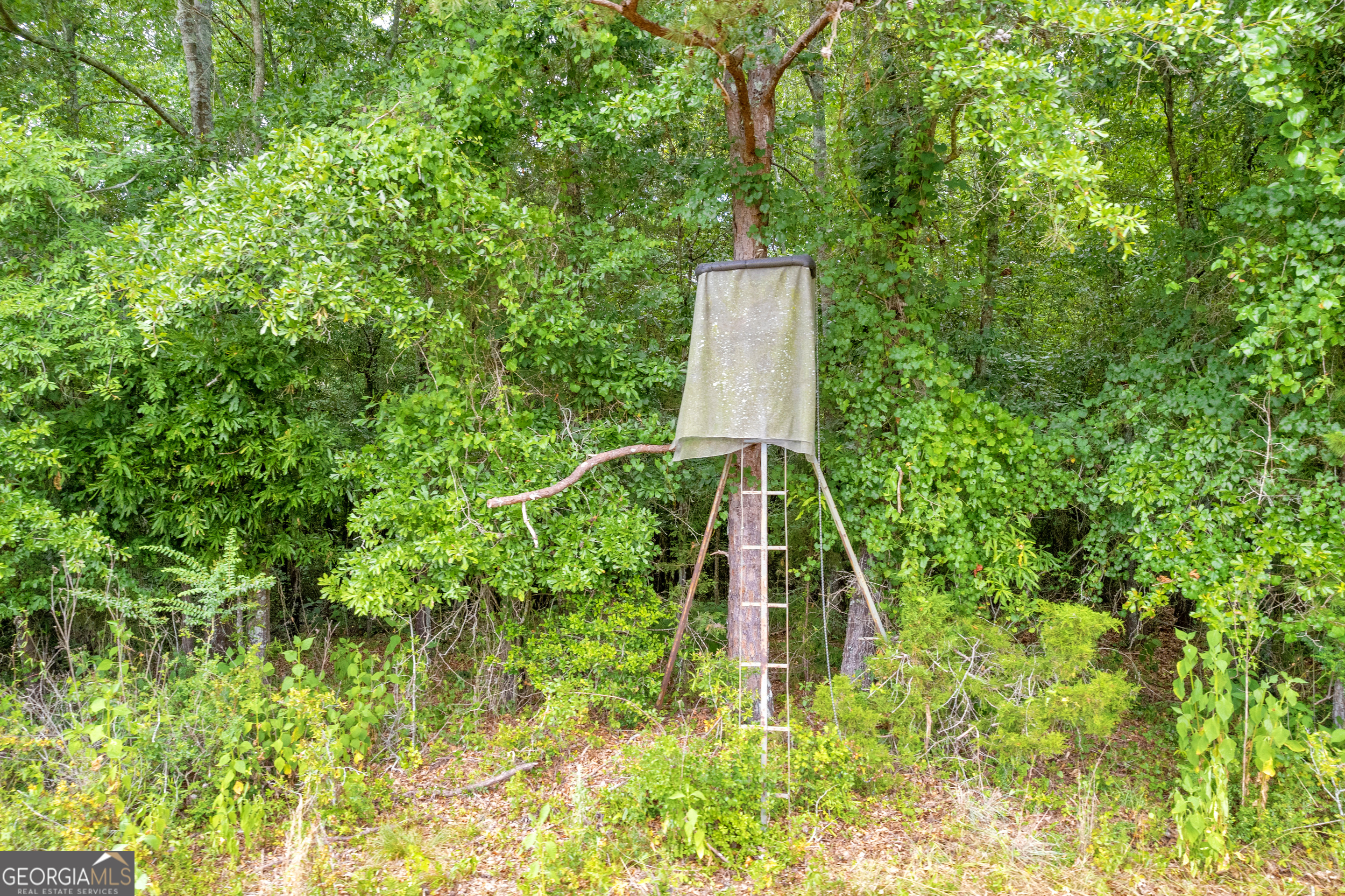 1255 Seymour Road Bowman, GA 30624 - Photo 23 of 79