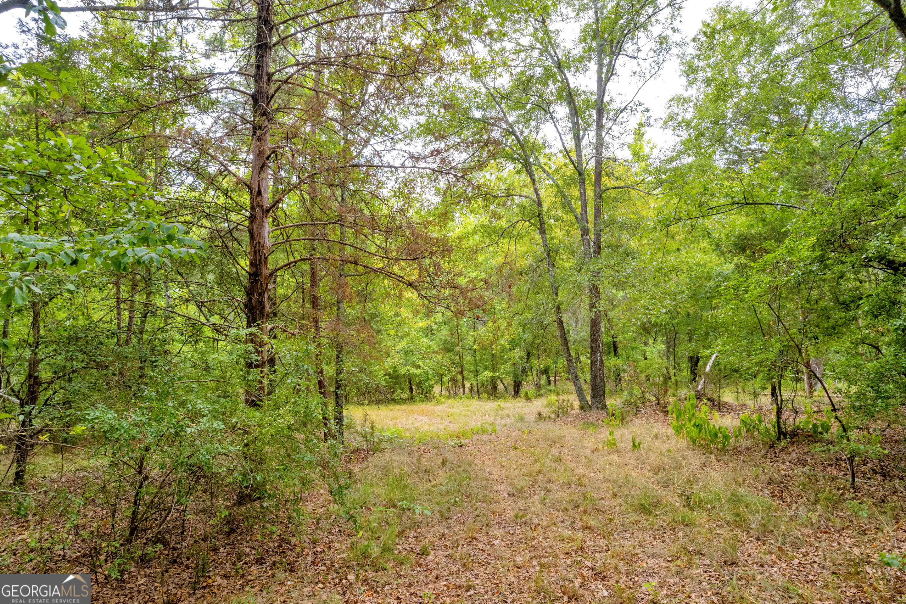 1255 Seymour Road Bowman, GA 30624 - Photo 24 of 79