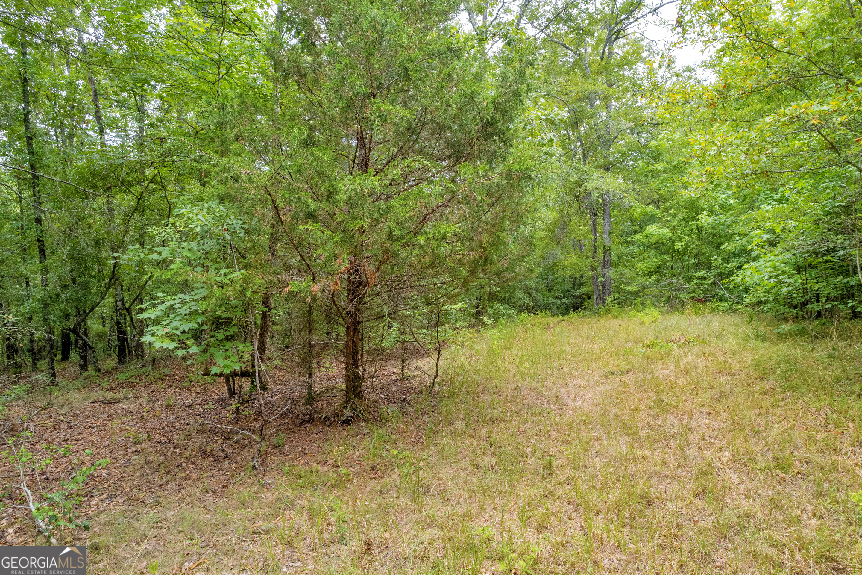 1255 Seymour Road Bowman, GA 30624 - Photo 25 of 79