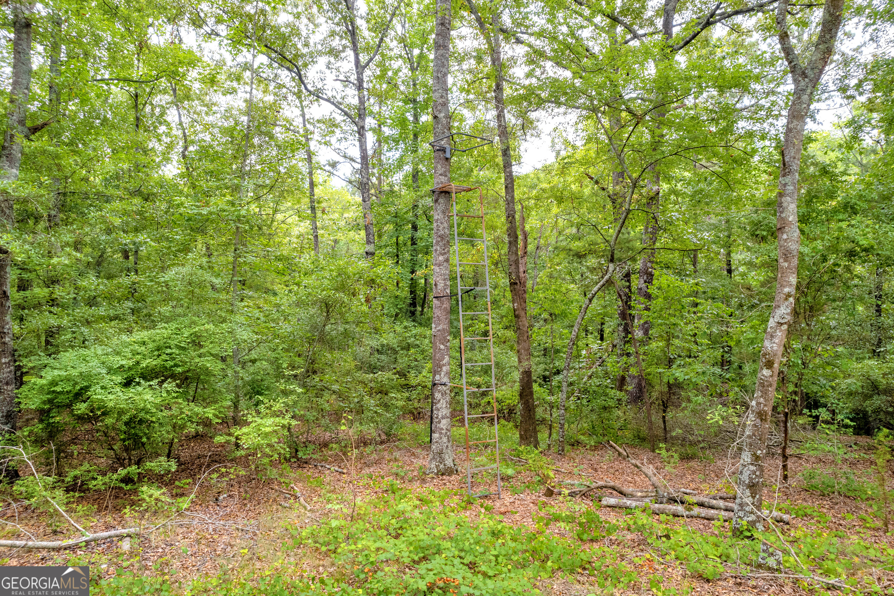 1255 Seymour Road Bowman, GA 30624 - Photo 26 of 79