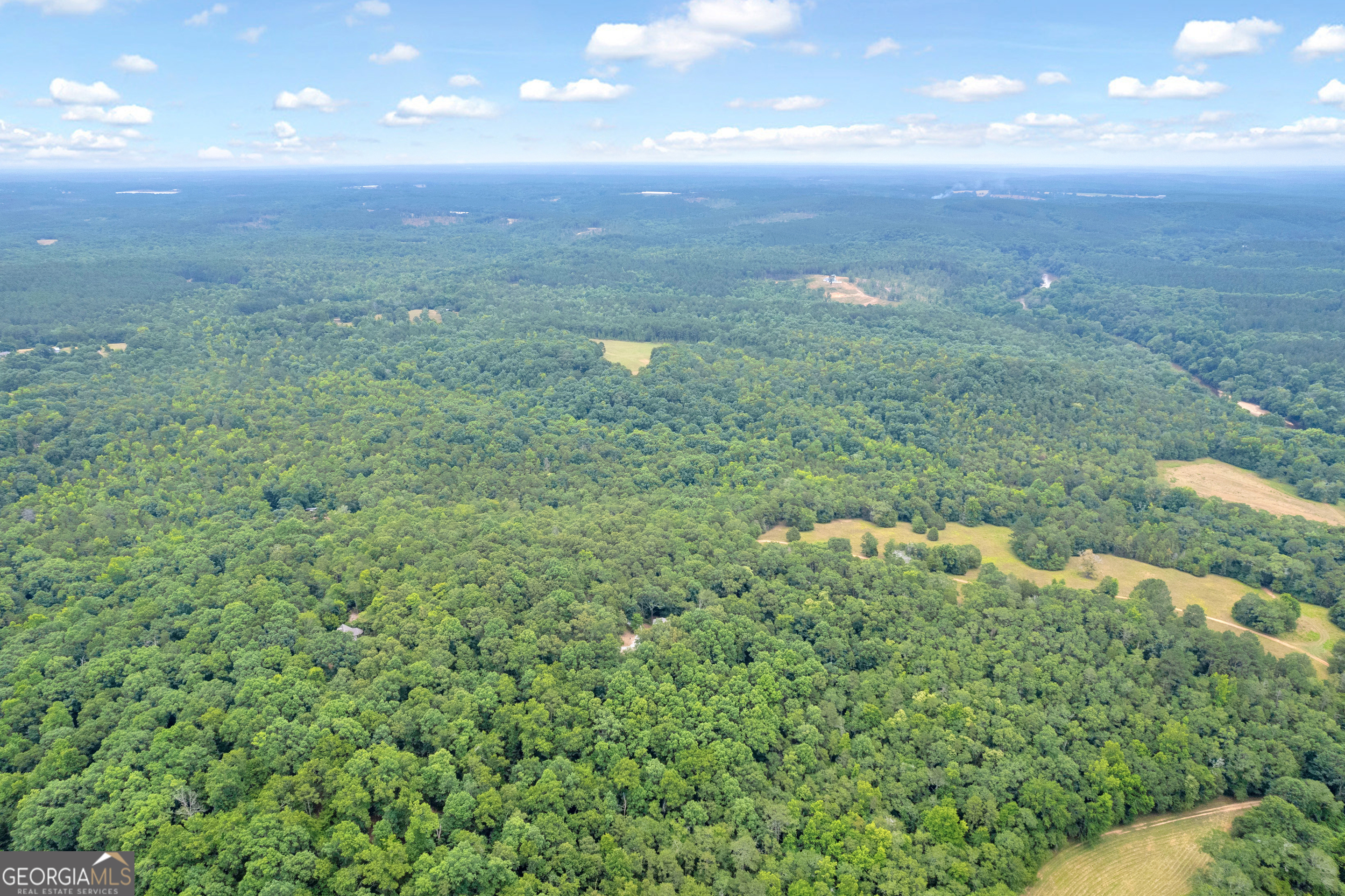 1255 Seymour Road Bowman, GA 30624 - Photo 5 of 79