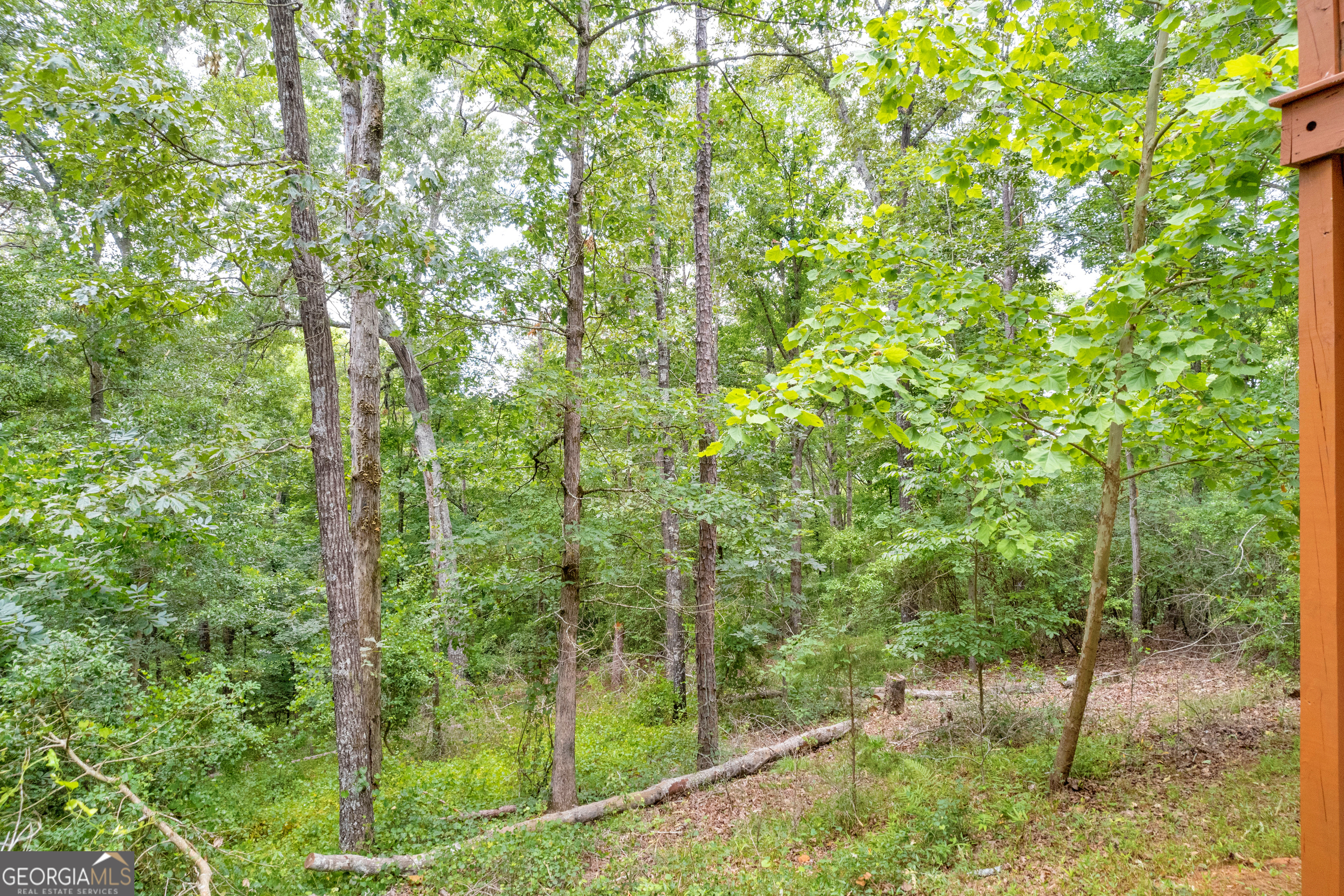 1255 Seymour Road Bowman, GA 30624 - Photo 63 of 79