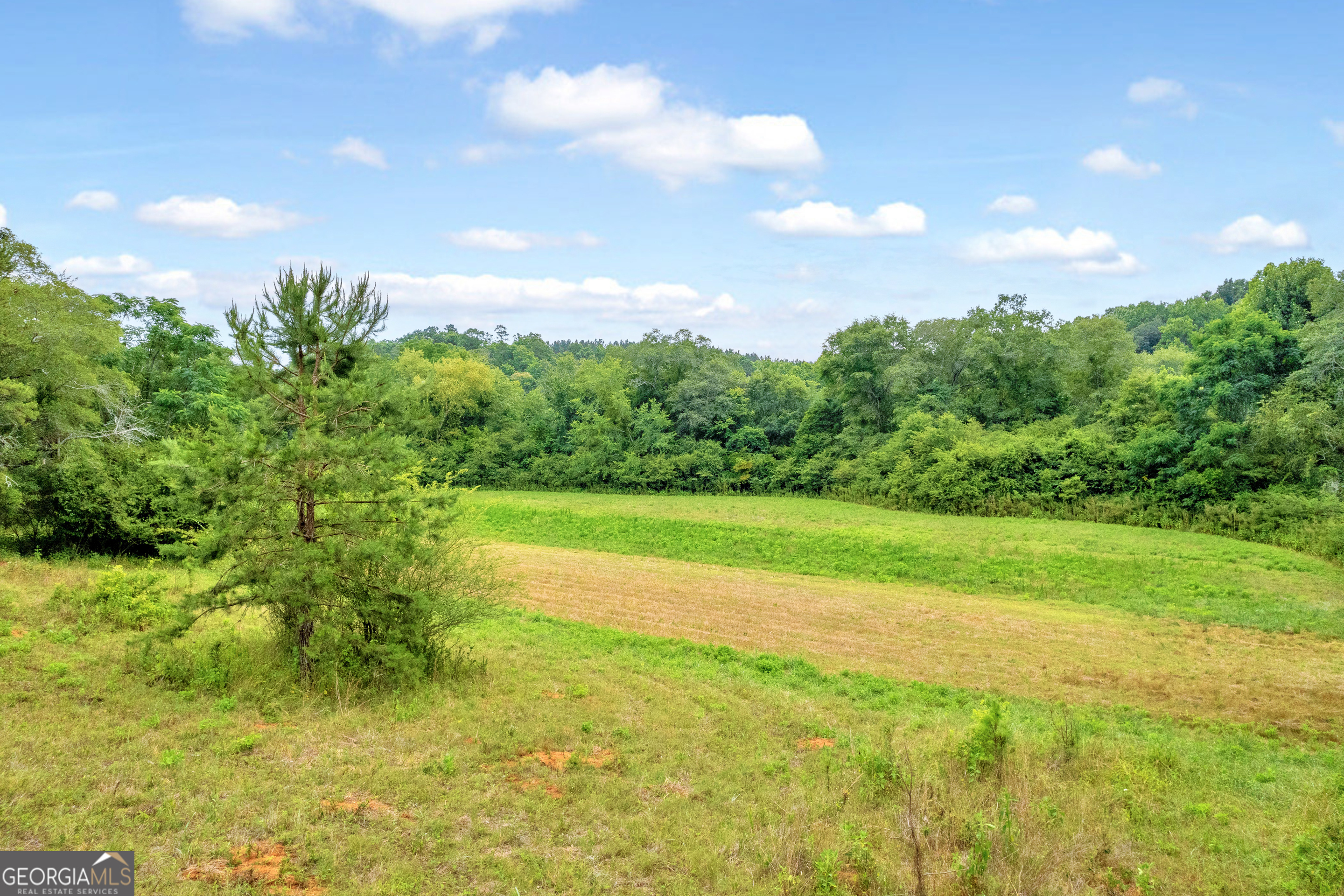 1255 Seymour Road Bowman, GA 30624 - Photo 64 of 79