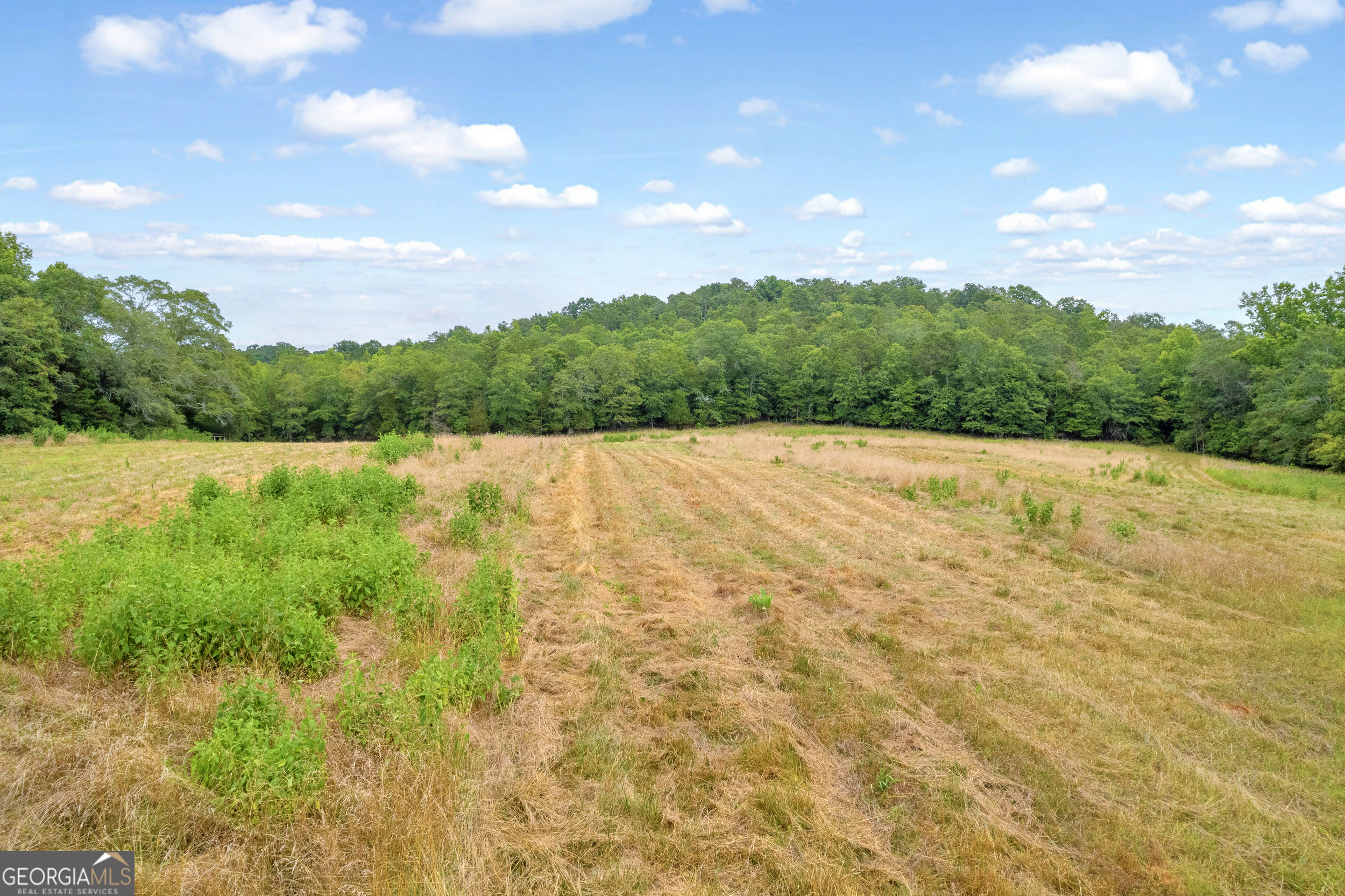 1255 Seymour Road Bowman, GA 30624 - Photo 65 of 79