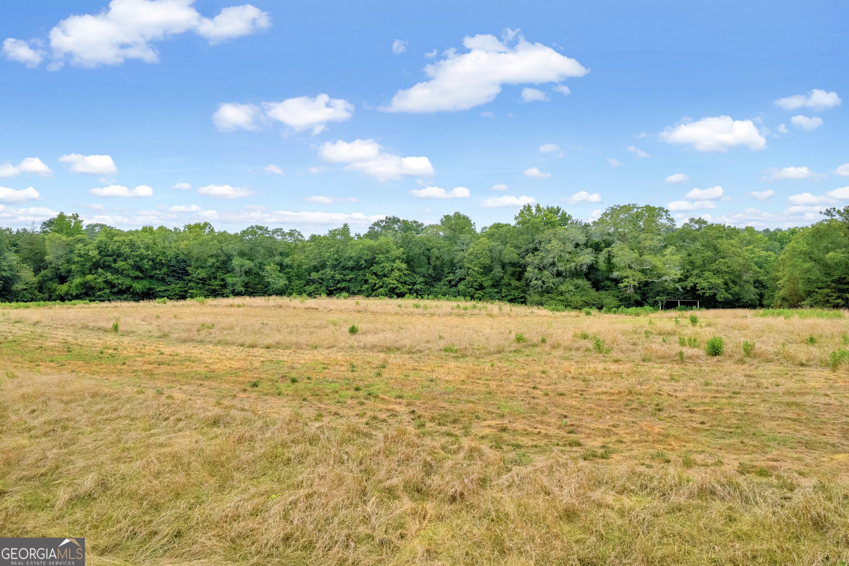 1255 Seymour Road Bowman, GA 30624 - Photo 66 of 79