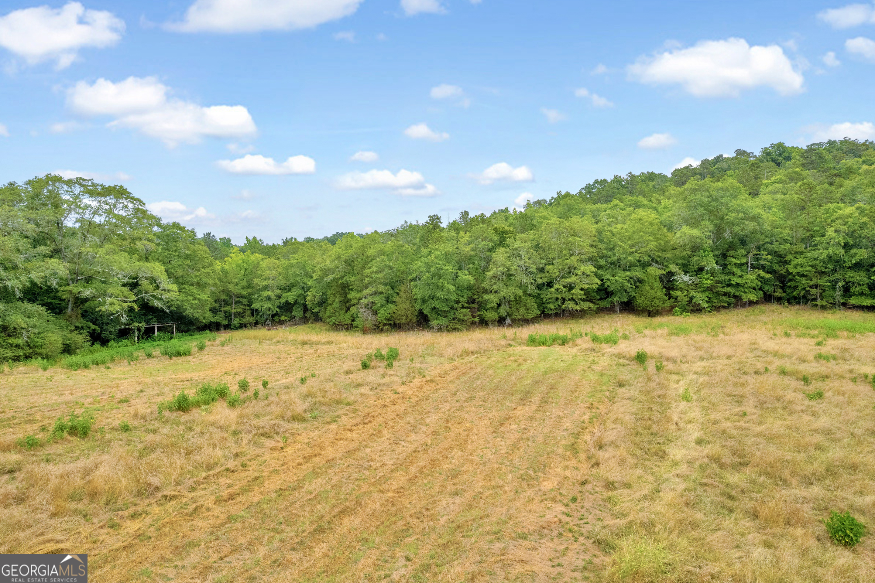 1255 Seymour Road Bowman, GA 30624 - Photo 67 of 79