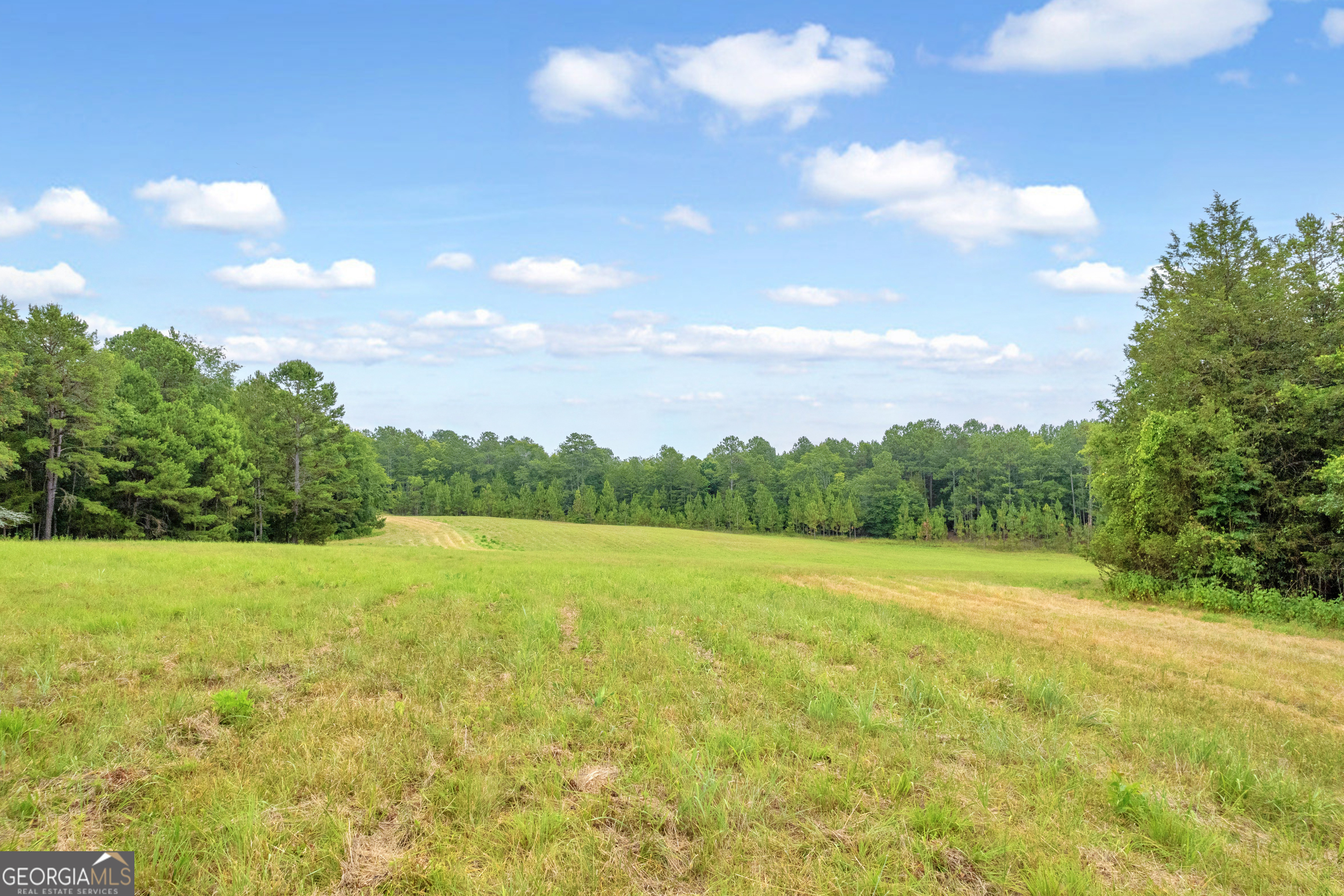 1255 Seymour Road Bowman, GA 30624 - Photo 68 of 79