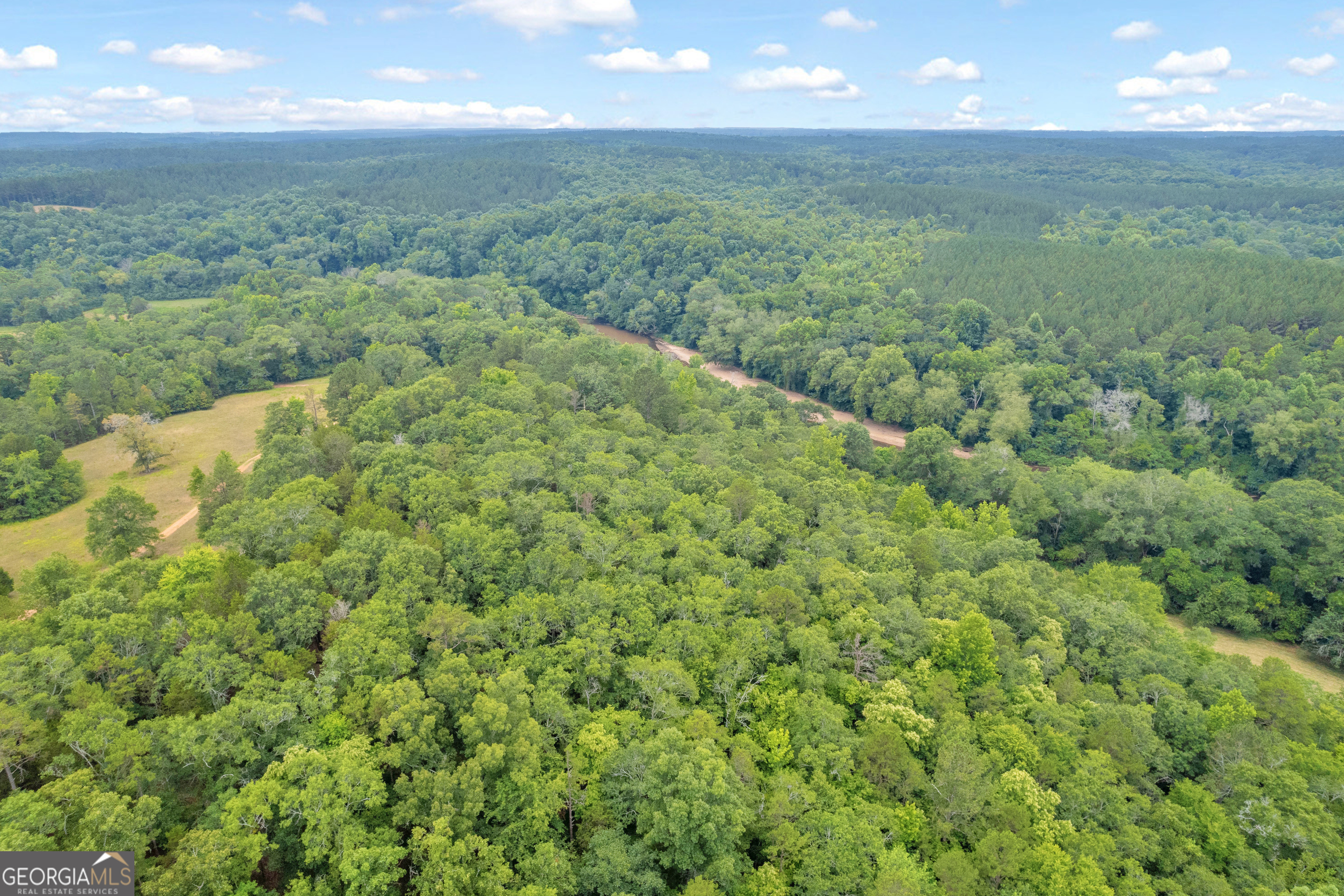 1255 Seymour Road Bowman, GA 30624 - Photo 69 of 79