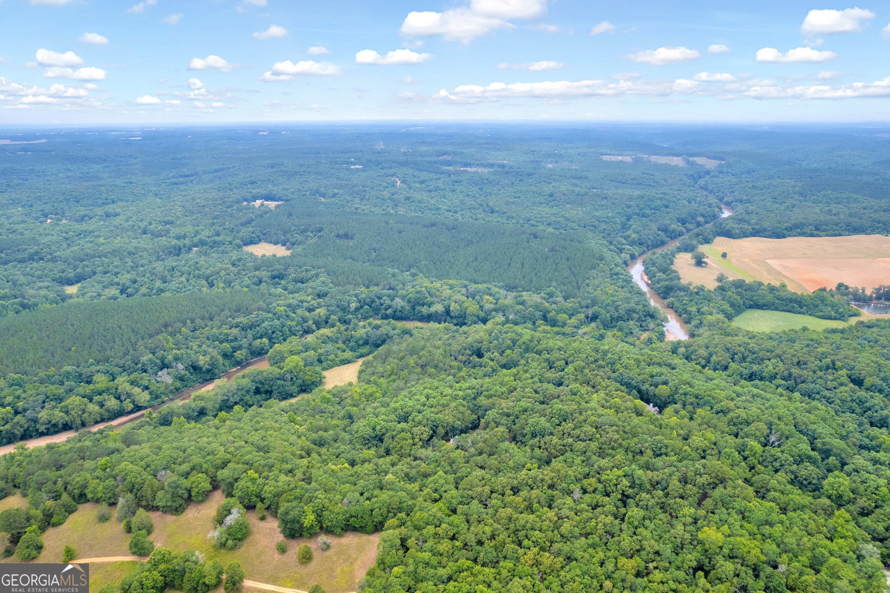 1255 Seymour Road Bowman, GA 30624 - Photo 8 of 79