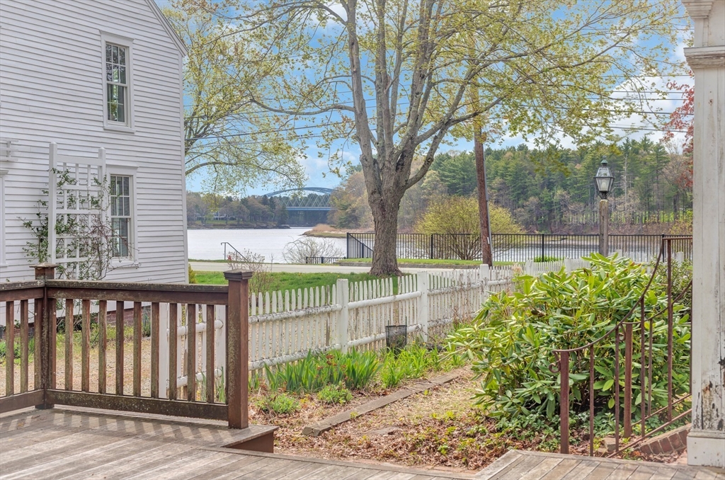 a view of a backyard with a large tree