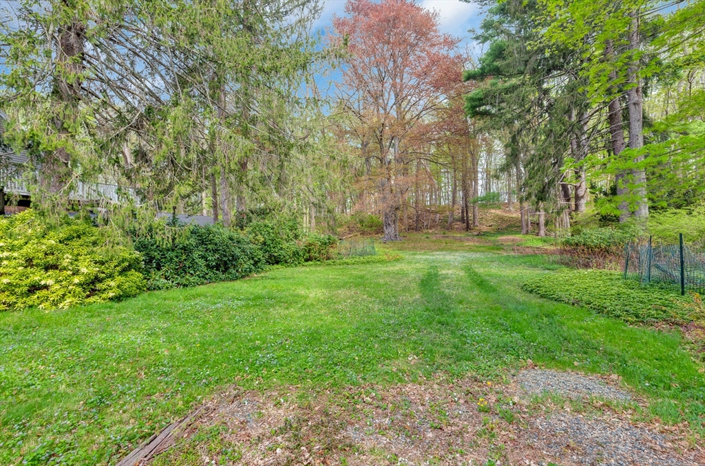 382 Main Street Amesbury, MA 01913 - Photo 15 of 42 a view of a backyard with large trees