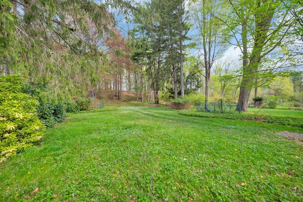 382 Main Street Amesbury, MA 01913 - Photo 16 of 42 a view of a park with large trees