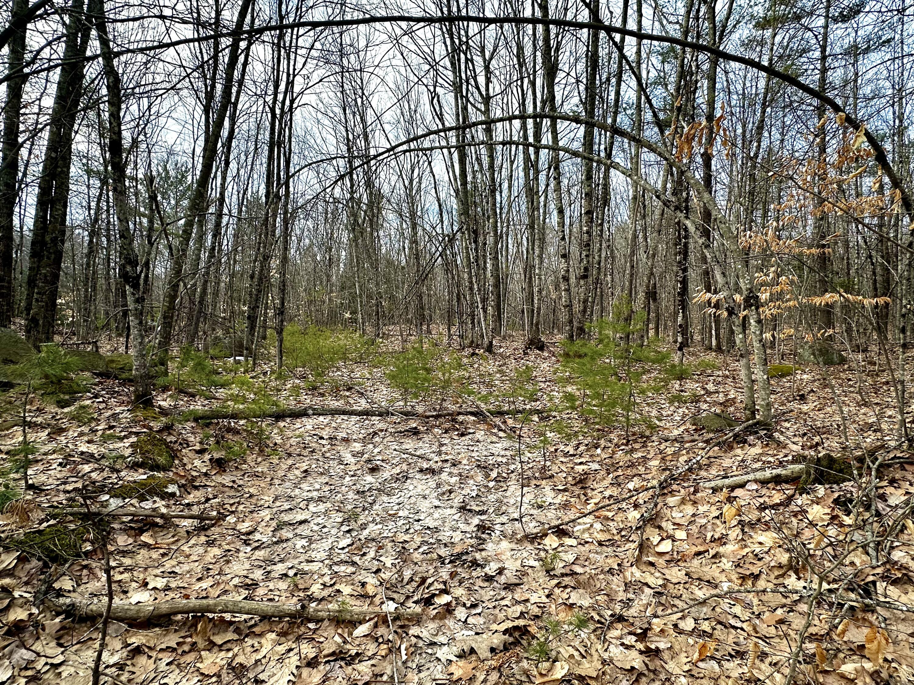 332 Folly Road Sebago, ME 04029 - Photo 2 of 4 IMG_3883