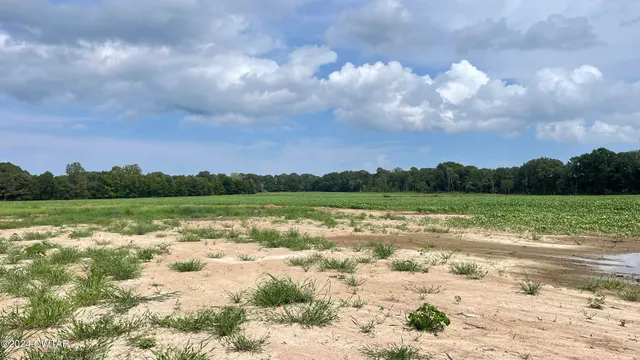 a view of lake with green space