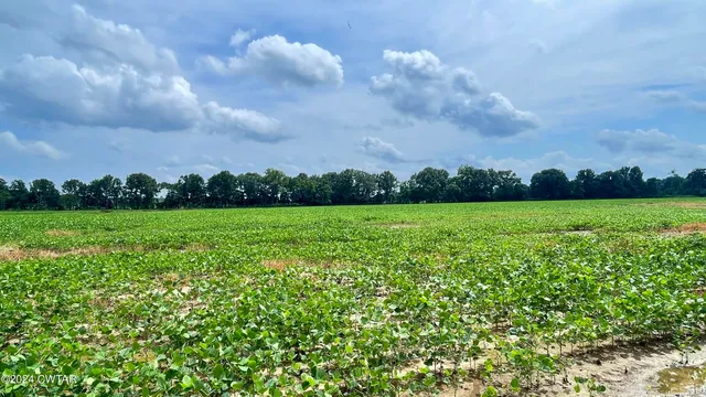 a view of a wooden house with a pathway