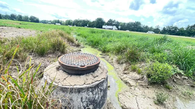 a view of a field of grass and trees
