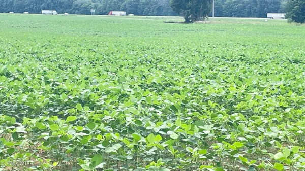 a view of outdoor space with deck and yard