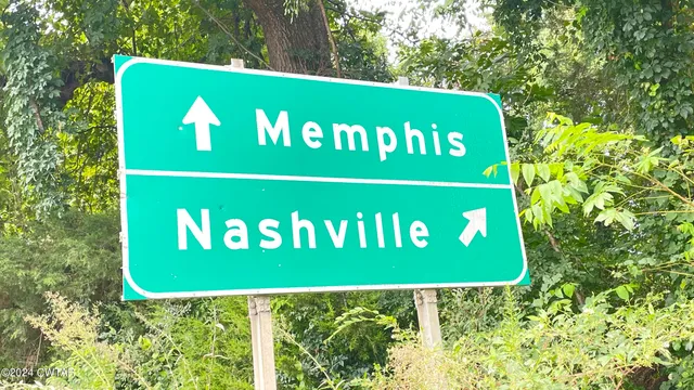 a view of a big yard with plants and large trees