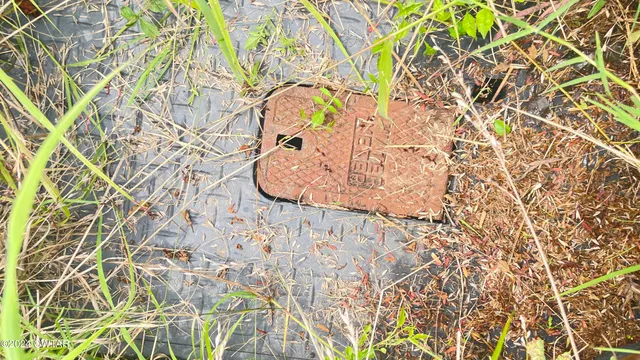a view of a lush green space