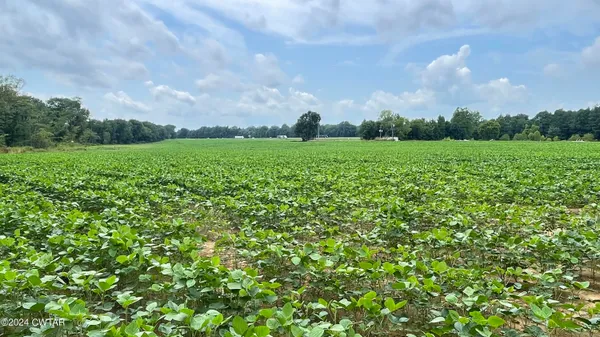 a view of grassy field with trees in the background