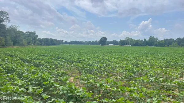 swimming pool view with a outdoor seating