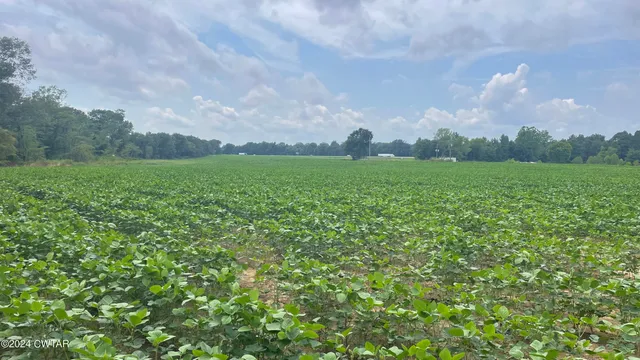 swimming pool view with a outdoor seating