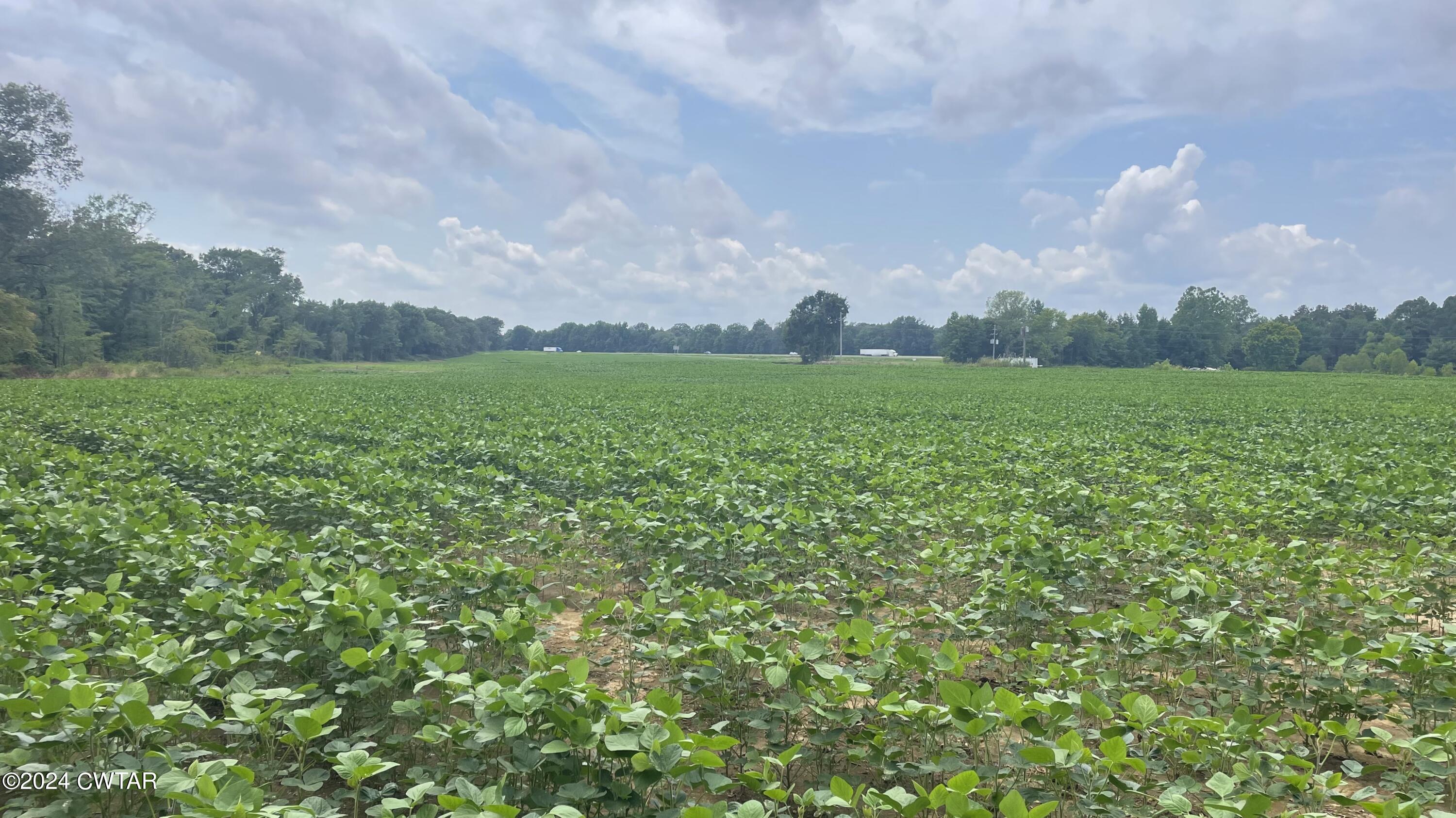 I-40 I-40 Stanton Dancyville Road Stanton, TN 38069 - Photo 24 of 41 a view of a green field