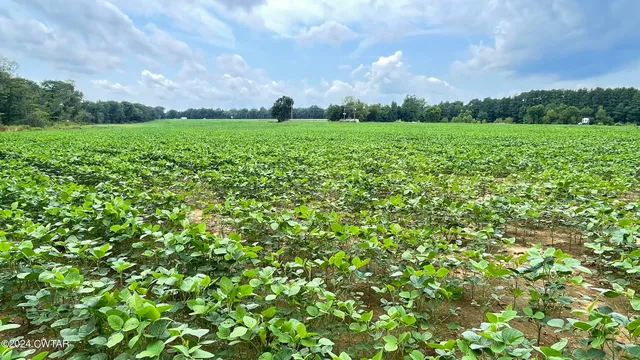 an aerial view of a football ground