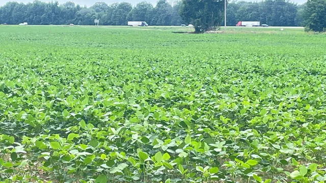 a view of grassy field with grass and trees